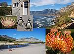 Ferienhaus Dreams, Südafrika, Western Cape, Pringle Bay